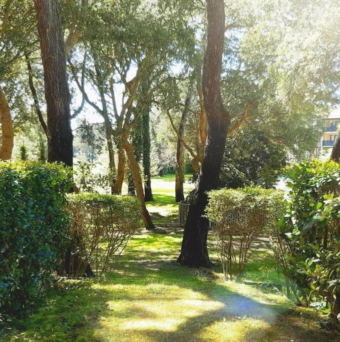Appartement "Chez Mag Et Jo" Moliets-et-Maa Bagian luar foto